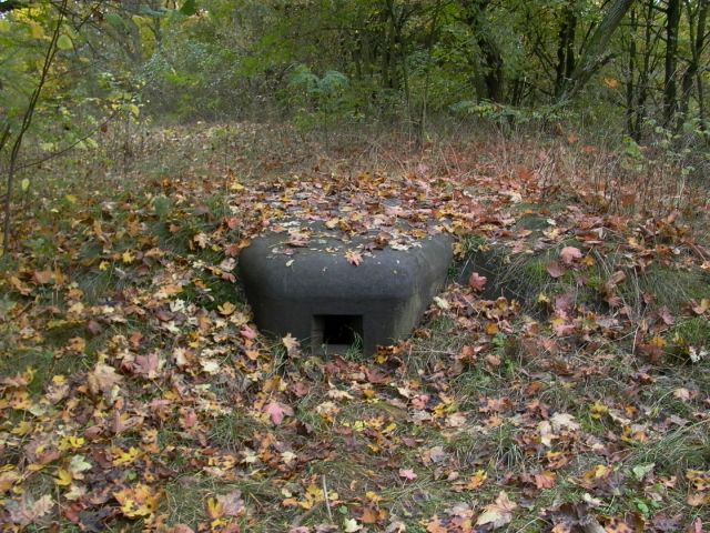 Файл:Modlin fort xvi kopula I.jpg