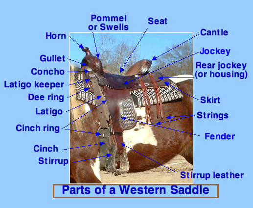 Файл:WesternSaddleParts.png