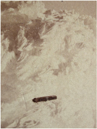 Файл:1871UFO.png