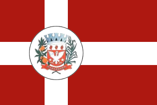 Файл:Bandeira Marapoama.png