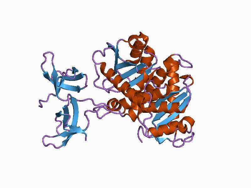 Файл:PDB 1c1a EBI.jpg