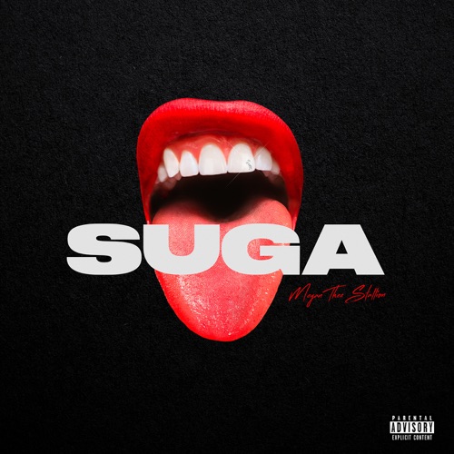 Файл:Megan Thee Stallion - Suga.jpeg
