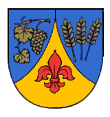 Файл:Wappen Nochern.png