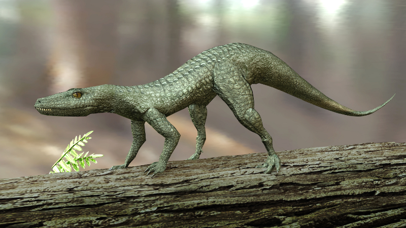 Файл:Crocodylomorph.jpg