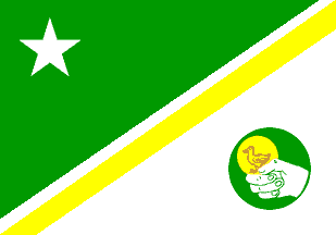 Файл:Bandeira pato 1.png