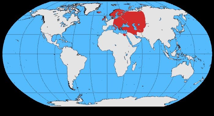 Файл:Corvus cornix map.jpg