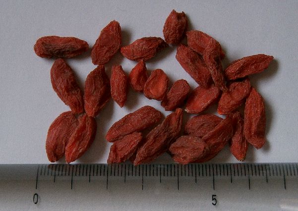 Файл:Dried wolfberries.jpg