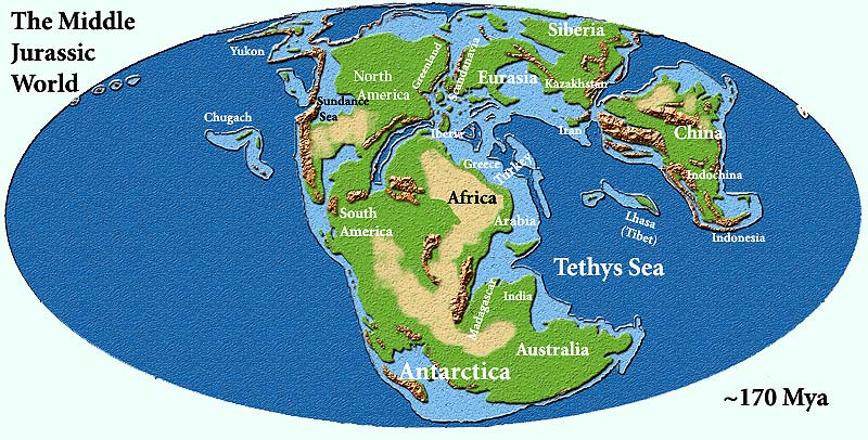 Файл:MiddleJurassicMap.jpg