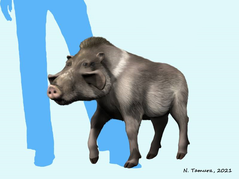Файл:Skinnerhyus NT.jpg