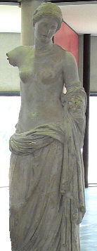 Файл:Venus-Musée.jpg