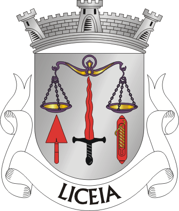 Файл:MMV-liceia.png