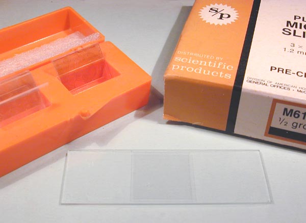 Файл:Microscope slide.jpg