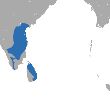 Файл:Tufted Gray Langur area.png