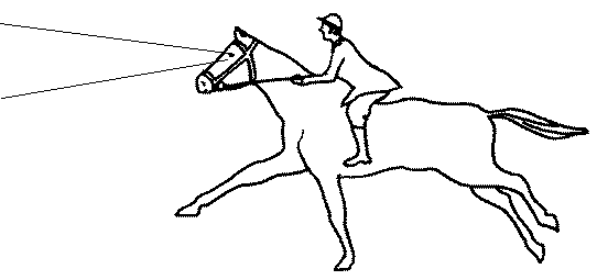 Файл:DistanceHorse.png
