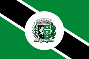 Файл:Bandeira de Macatuba.jpg