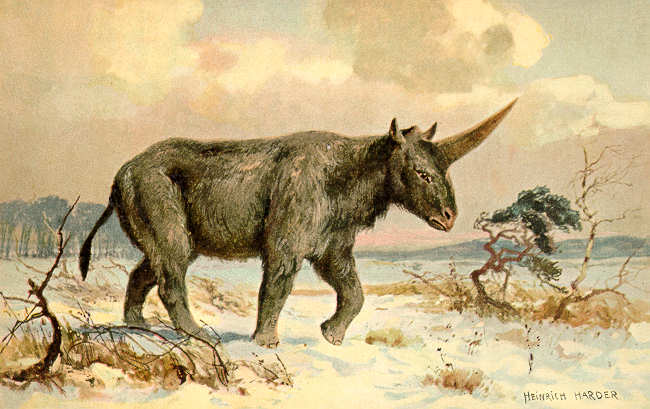 Файл:Elasmotherium1.jpg