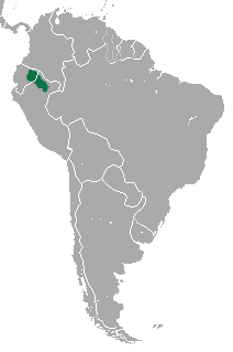 Файл:Equatorial Saki area.png
