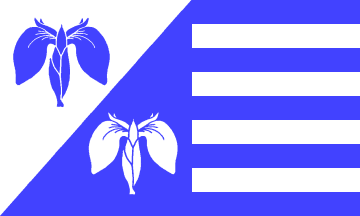 Файл:Flagge Tröndel.png