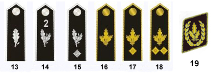 Файл:HJ Adult Ranks.jpg