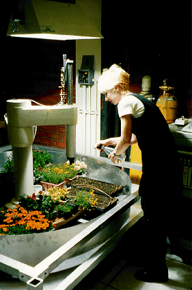 Файл:Rosy in garden.gif