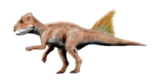 Файл:Archaeoceratops NT.jpg