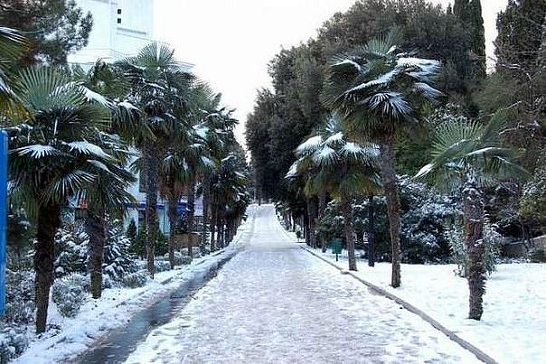 Файл:Yalta winter 3.jpeg