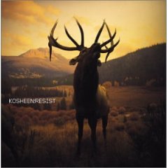 Обложка альбома Kosheen «Resist» (2001)
