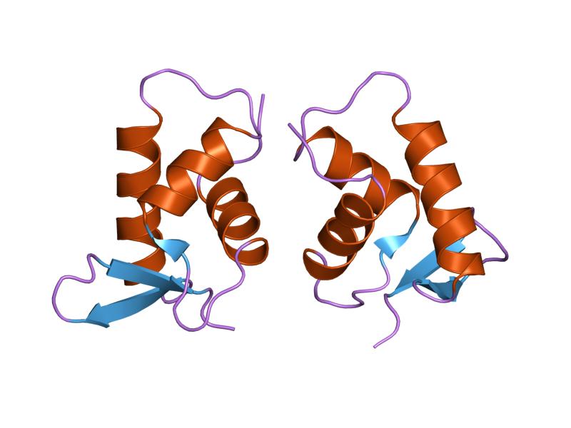 Файл:PDB 1hst EBI.jpg