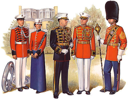 Файл:PlateVII Band.jpg