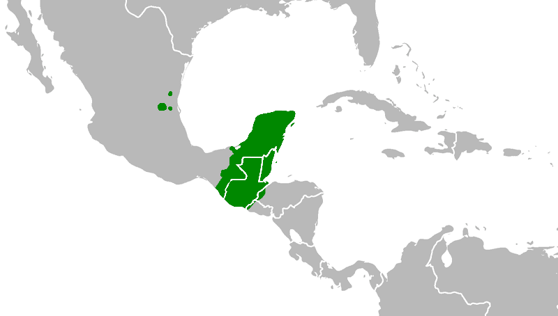 Файл:Distribution-myn2.png