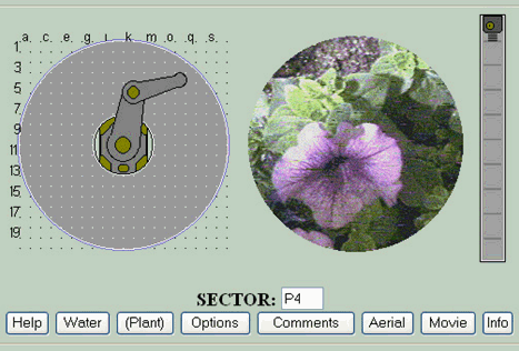 Файл:Telegarden screenshot.gif