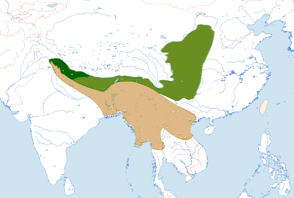 Файл:Lanius tephronotus01 distr.png