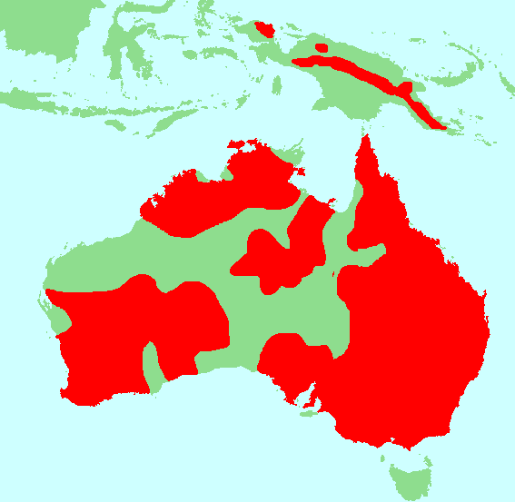 Файл:Neosittidae distribution.png