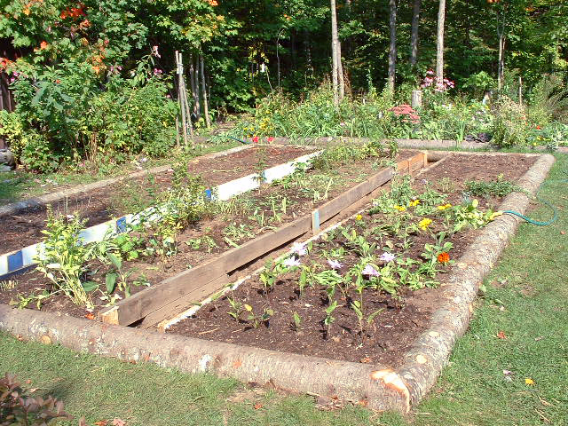 Файл:Potager en plate-bande.jpg