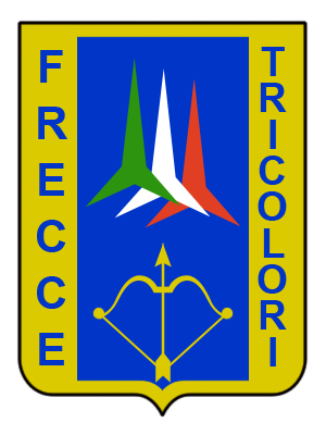 Файл:313°Gruppo-Patch.png