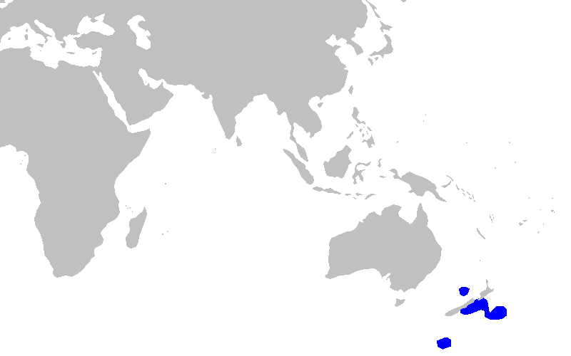 Файл:Apristurus exsanguis distmap.png