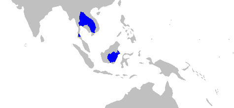 Файл:Himantura polylepis rangemap.png