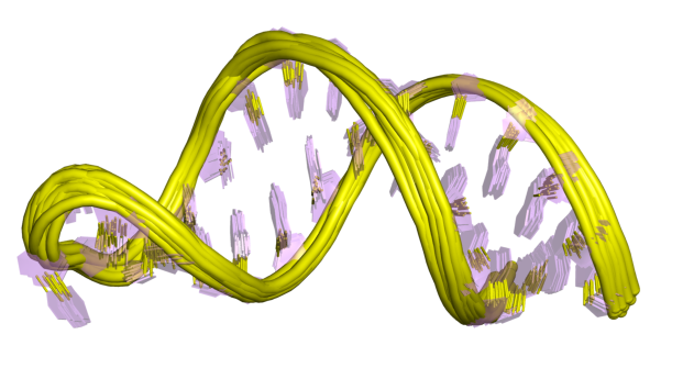 Файл:PDB 2gio EBI.png