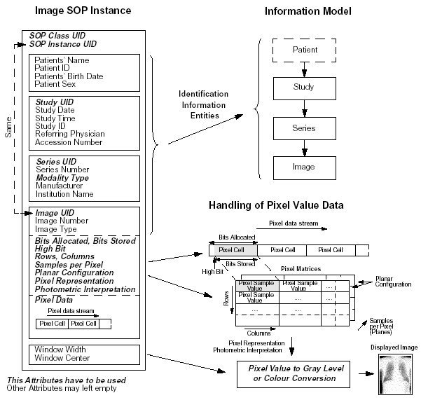 Файл:DICOM InfoModel.png