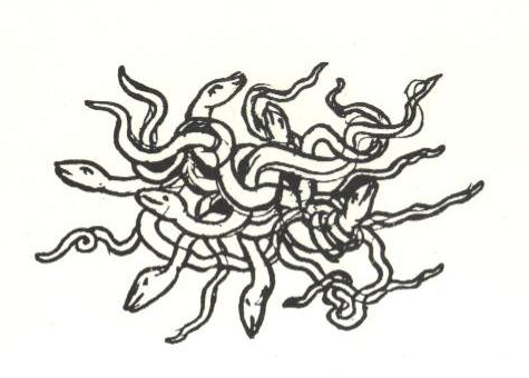Файл:Panizza-draw.png