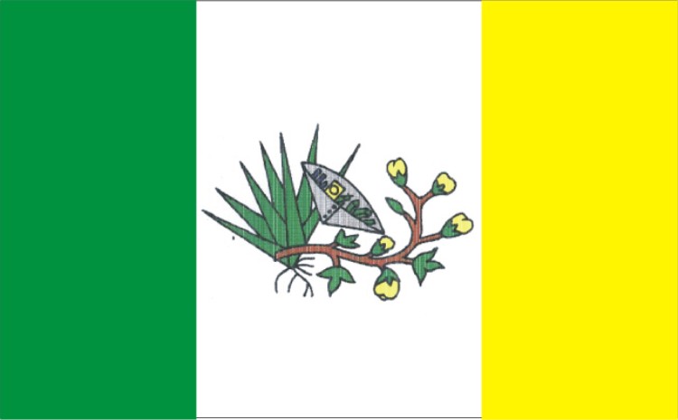 Файл:Bandeira Municipio Picui.jpg