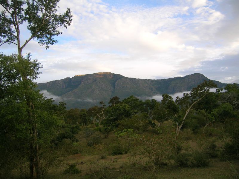 Файл:Nilgiri foothills.jpg