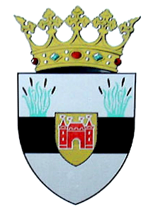 Файл:Liesveld wapen.png