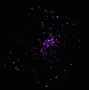 Файл:NGC 2024 seen by the Chandra X-ray Observatory.jpg