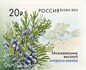 Файл:RUSMARKA-1931.jpg
