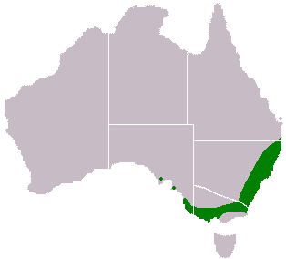 Файл:Acacia-longifolia-range-map.png