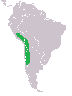 Файл:Chloephaga melanoptera range map.png