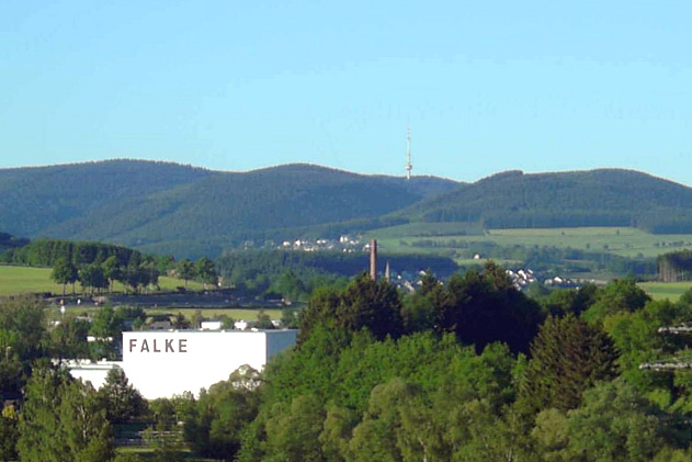 Файл:Schmallenberg Falke.jpg