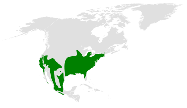 Файл:Baeolophus distribution map.png