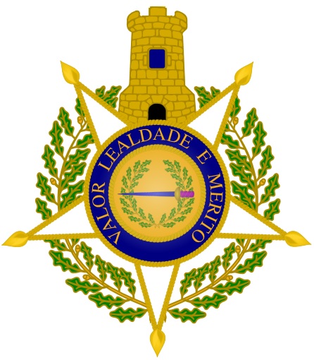 Файл:Distintivo TE.jpg